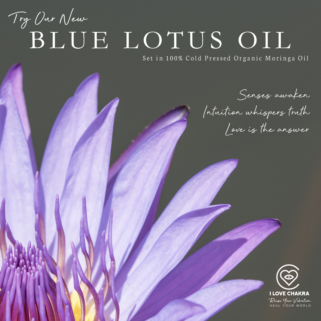Blue Lotus Oil